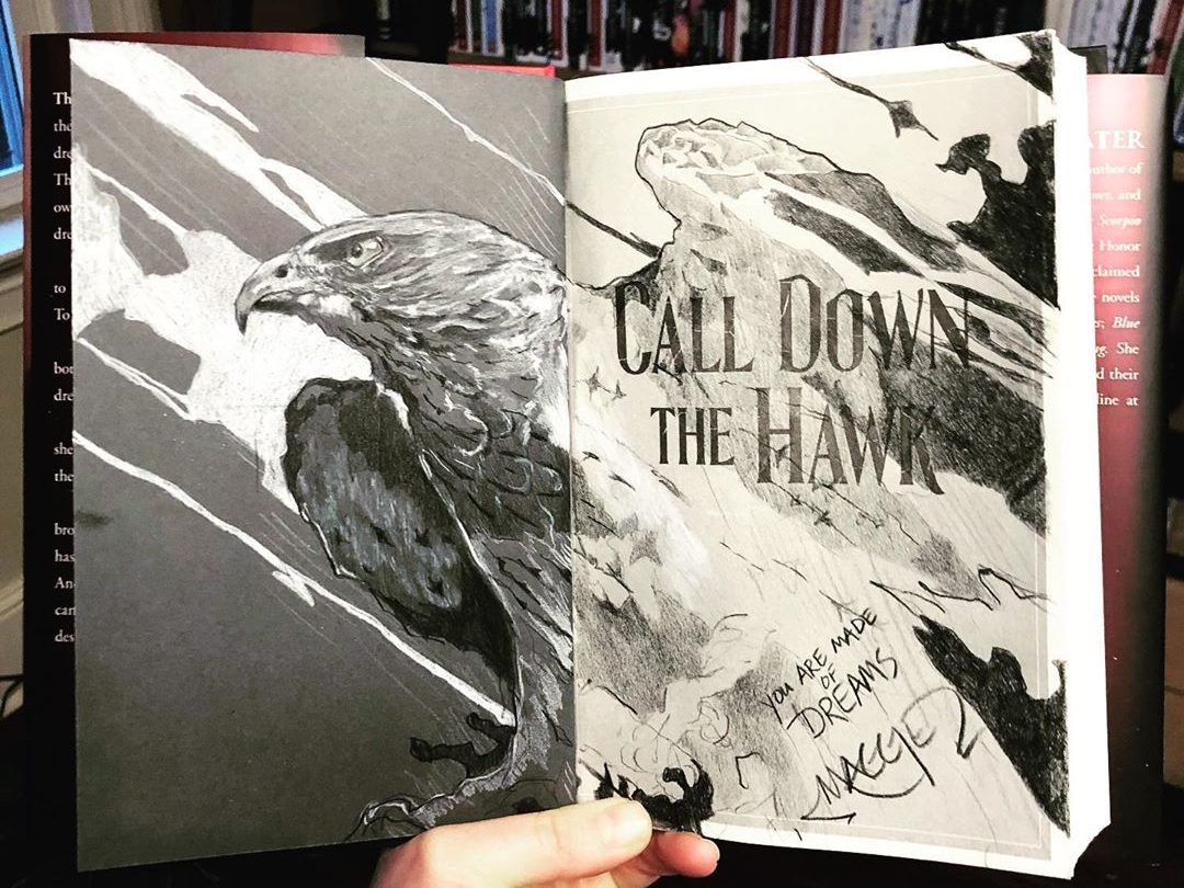 Review: Call Down the Hawk